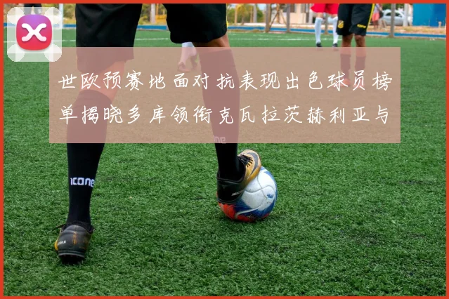世欧预赛地面对抗表现出色球员榜单揭晓多库领衔克瓦拉茨赫利亚与布拉德利紧随其后