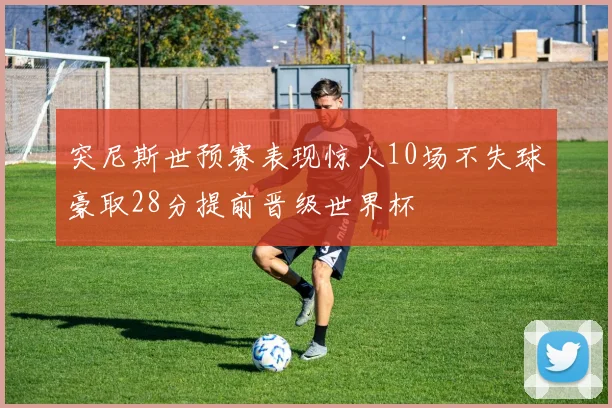 突尼斯世预赛表现惊人10场不失球豪取28分提前晋级世界杯