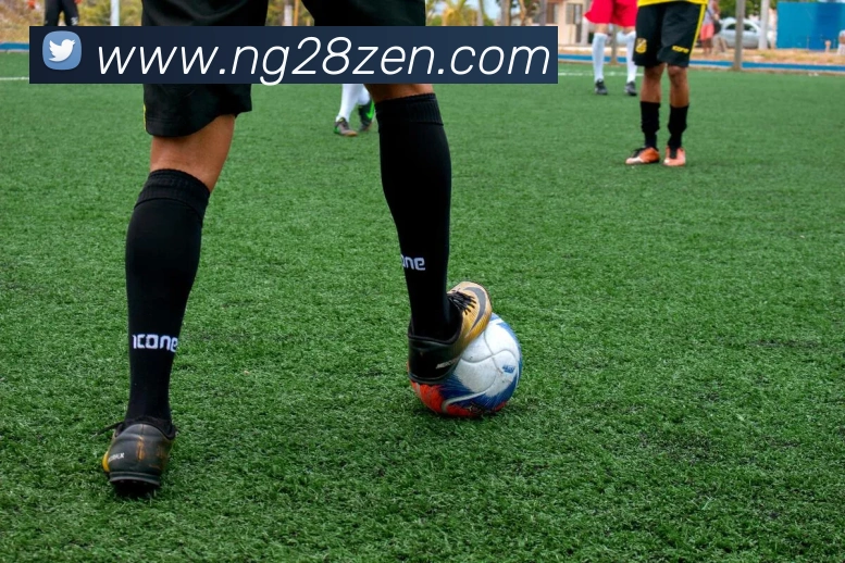 南宫28平台生态图