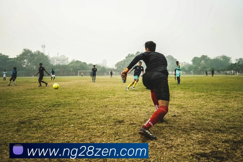 南宫28APP 封面图